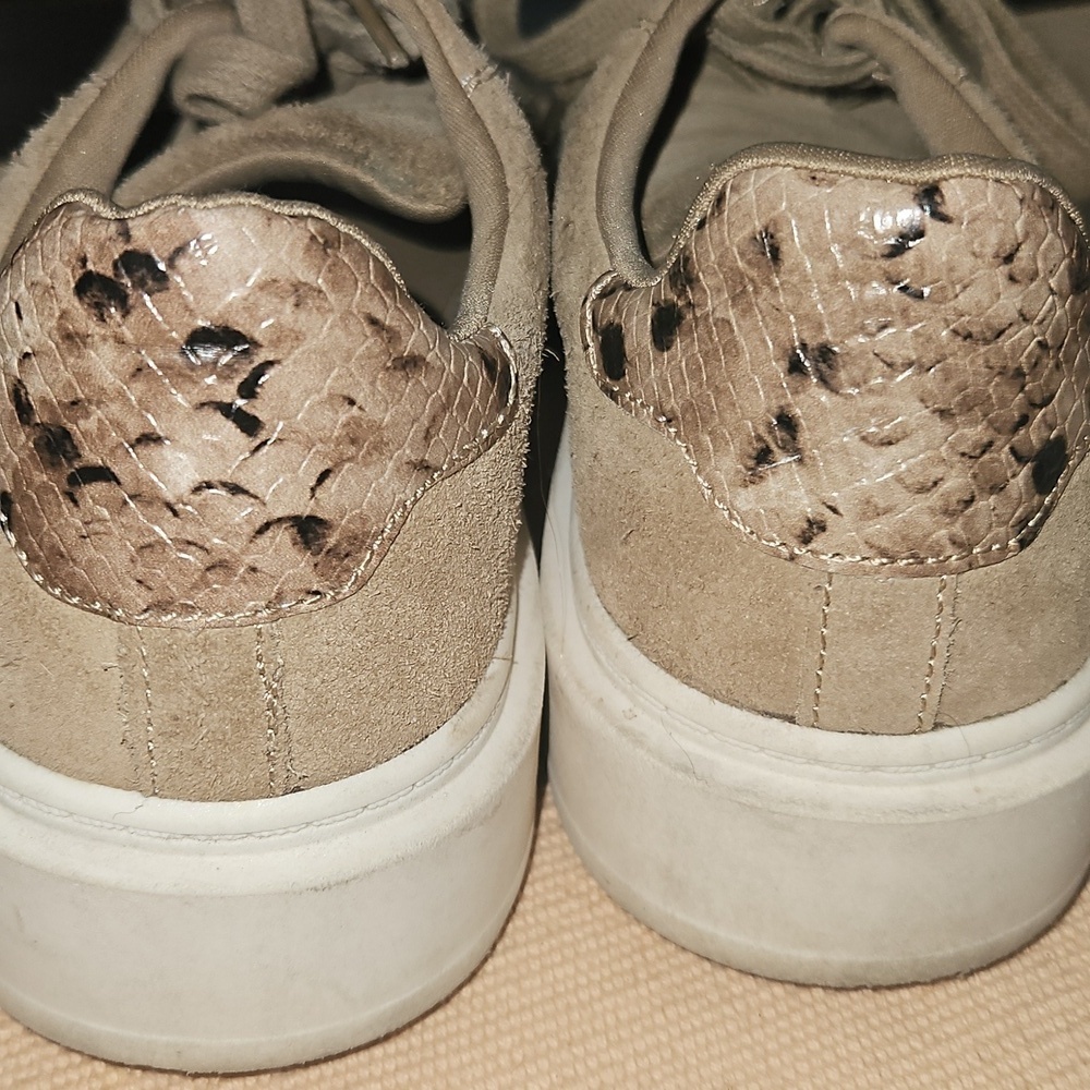 Steve Madden Charlie Suede Sneakers - Picture 3 of 5